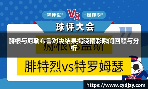 赫根与厄勒布鲁对决结果揭晓精彩瞬间回顾与分析